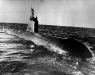 Атомная подводная лодка (Проект 645ЖМТ) Кит - фото взято с электронной энциклопедии Военная Россия