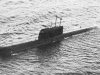 Атомная подводная лодка (Проект 685) Плавник - фото взято с электронной энциклопедии Военная Россия
